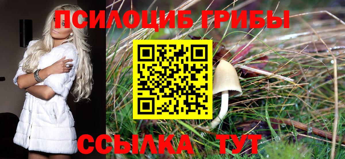 Галлюциногенные грибы GOLDEN TEACHER Лосино-Петровский